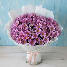 Букет цветов из:  Хризантемы в Георгиевской