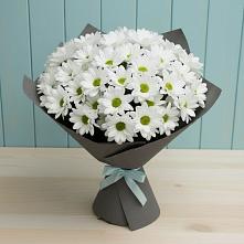 Букет цветов из:  Хризантемы в Георгиевской