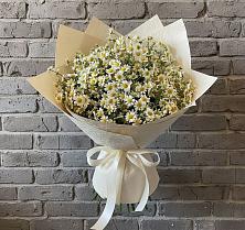 Букет цветов из:  Ромашки в Георгиевской