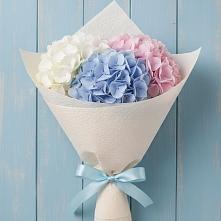 Букет цветов из:  Гортензия #REPLACE_PRED# Георгиевской