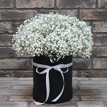 Цветочная композиция из Гипсофила в шляпной коробке #REPLACE_PRED# Георгиевской