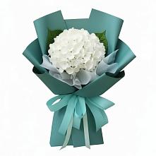 Букет цветов из:  Гортензия в Георгиевской